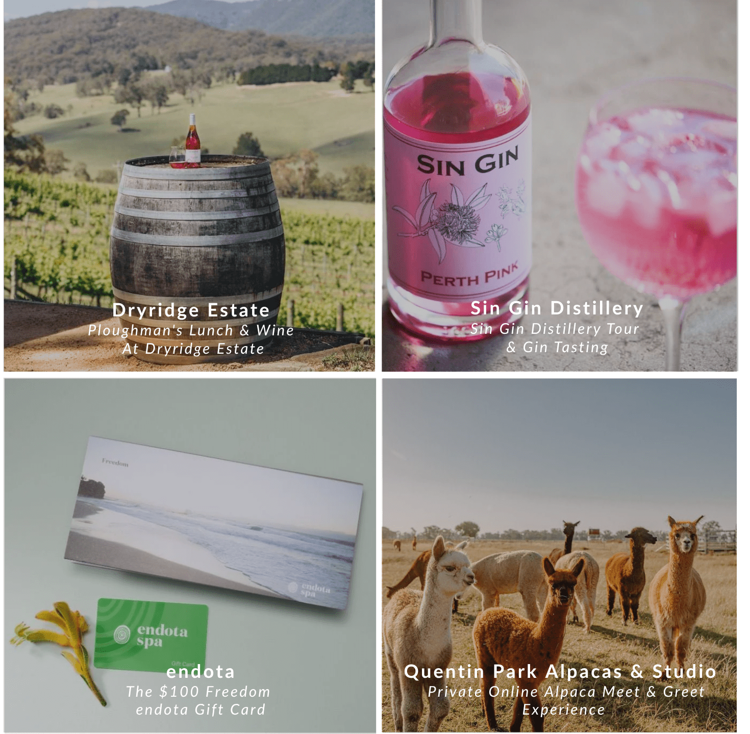 Bucket List - Experience Portfolio for business - We Wander