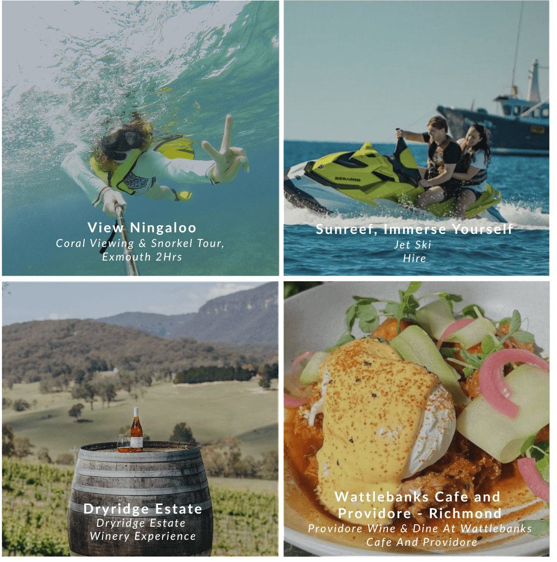 Wanderlust - Experience Portfolio for business - We Wander
