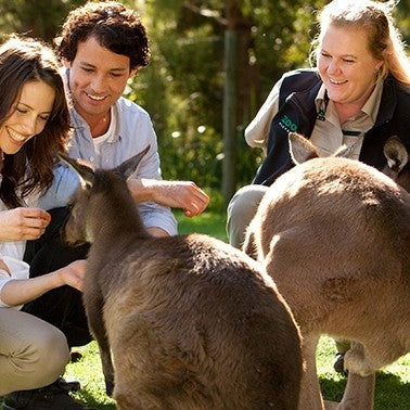 Werribee Open Range Zoo General Entry 