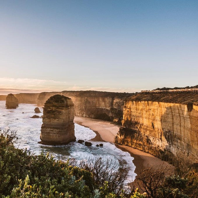 Wildlife Tours Australia: 1 Day Great Ocean Road + Rainforest Walk Tour