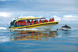 Bruny Island Cruises Full Day Tour From Hobart - We Wander