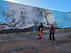 Collie Town Mural Tour Half Day - We Wander