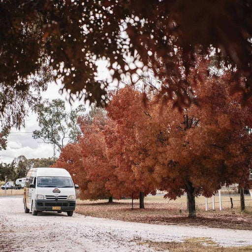 Half - Day Mudgee Wine Tours - We Wander