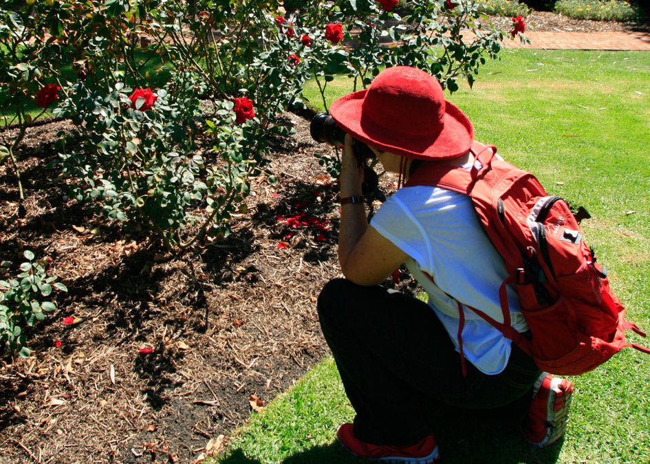 Highlights Of Perth Photographic Tour - We Wander