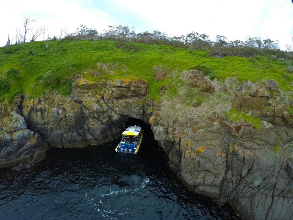 Iron Pot Cruises - We Wander