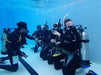 Open Water Diver Course - We Wander