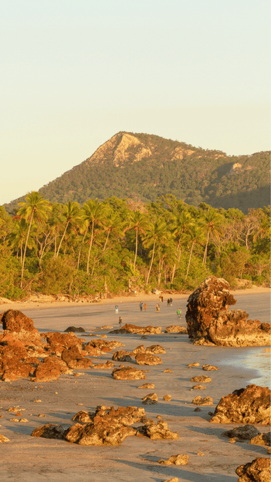 Scent Library 45 - Minute Custom Fragrance Design - We Wander