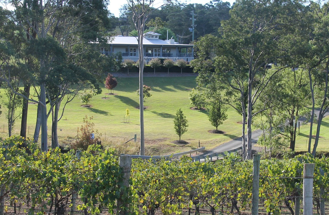 Tulloch Wines - Vertical Tasting Of Pokolbin Dry Red Shiraz Over 6 Vintages With Charcuterie Board - We Wander