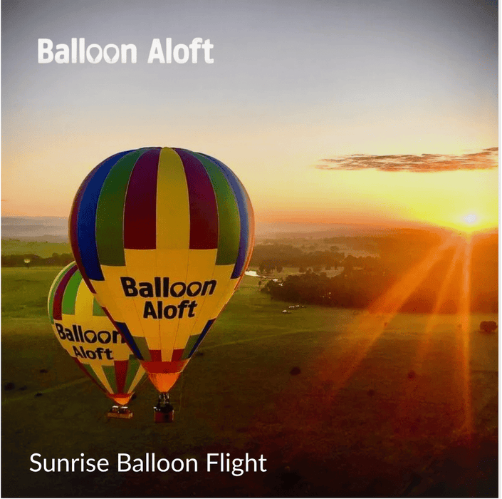 Ultimate - Experience Portfolio for business - We Wander